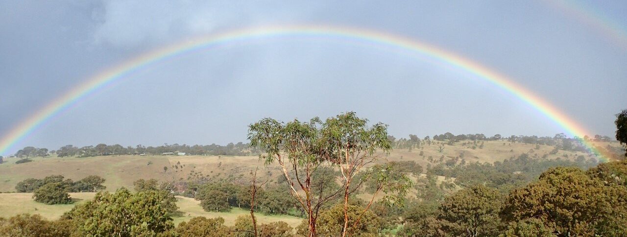 Bequests Rainbow photo